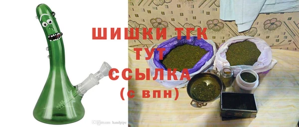 гашик Надым