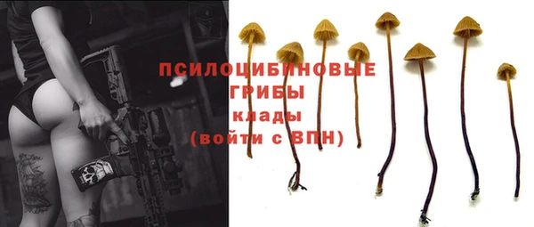 гашик Надым