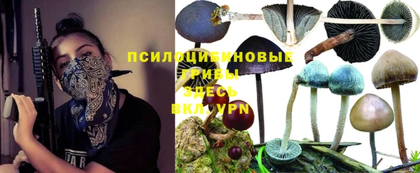 гашик Надым