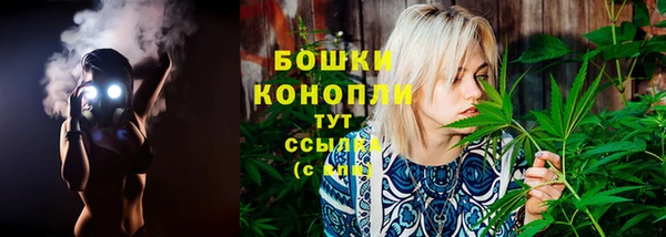 гашик Надым