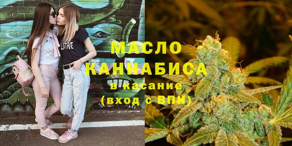 гашик Надым