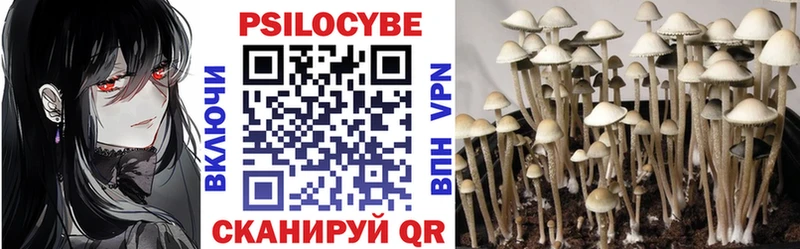 закладки  KRAKEN онион  Псилоцибиновые грибы MAGIC MUSHROOMS  Псков 